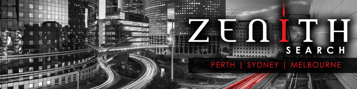 Zenith Executive Search cover